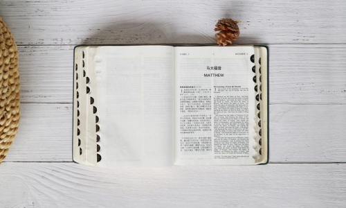 Learn about Internship